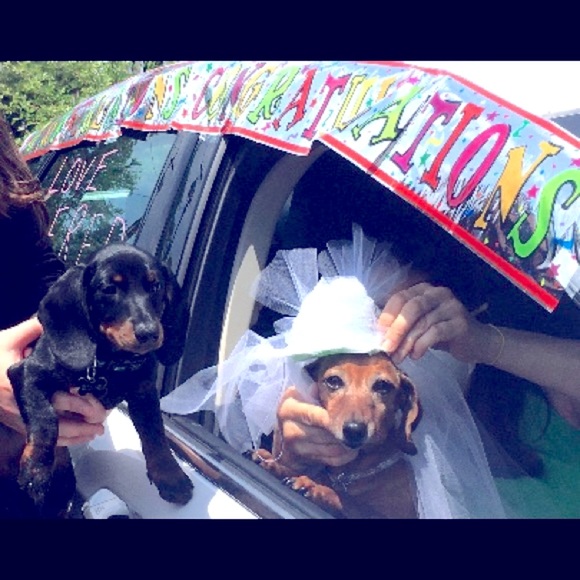 Hello👋Have confidence, I’m a Poshmark Ambassador. - Picture 16 of 17